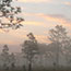 Sunrise at 3 Lakes WMA
